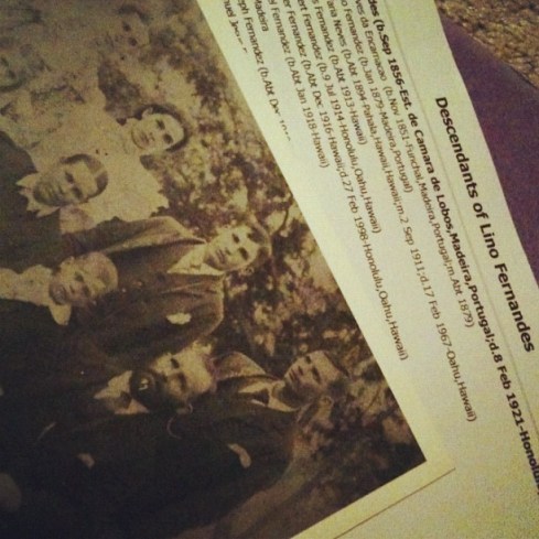 fernandes_descendants Fernandes Family Photo